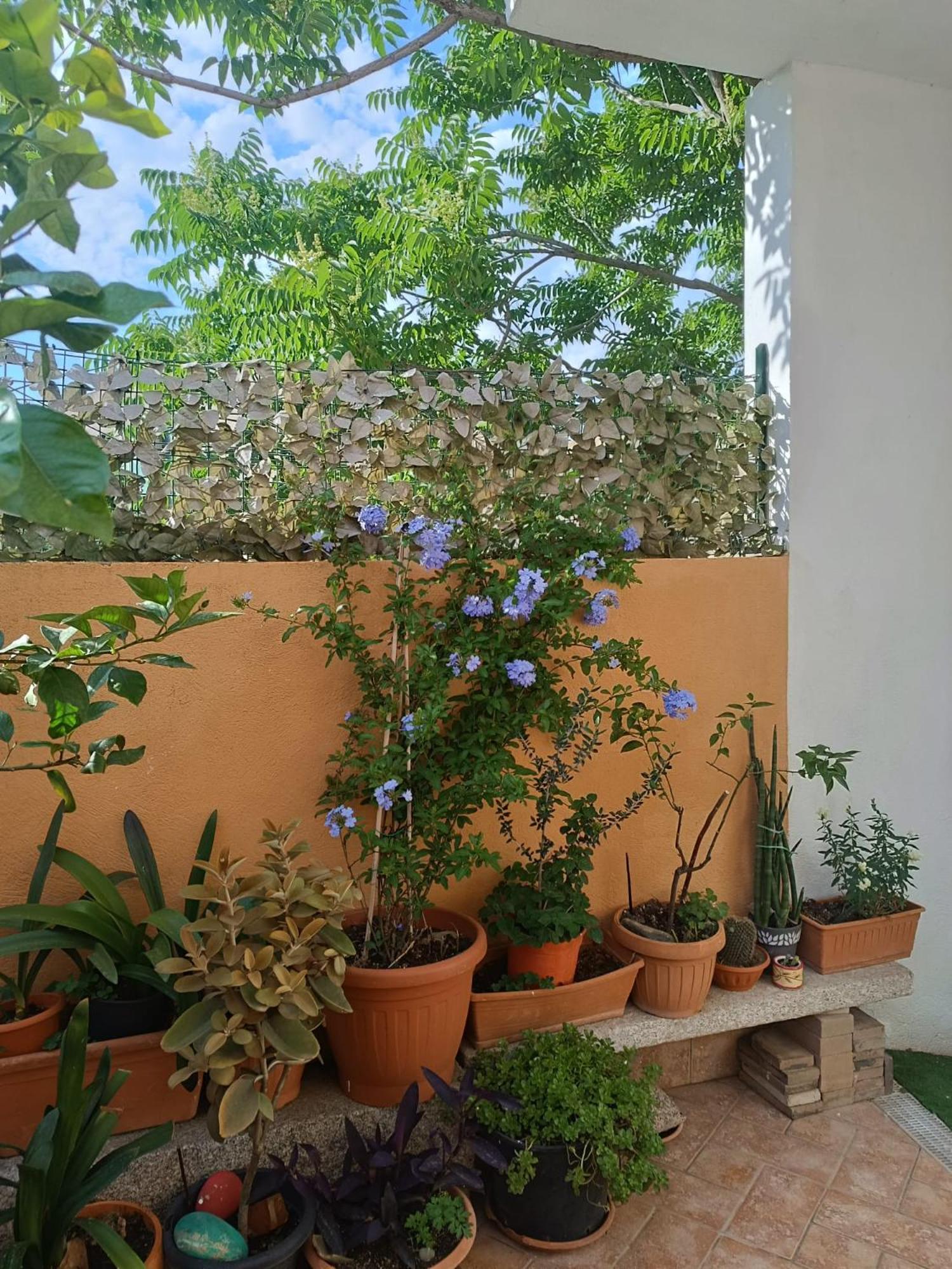 B&B Beranu Villasimius Ngoại thất bức ảnh